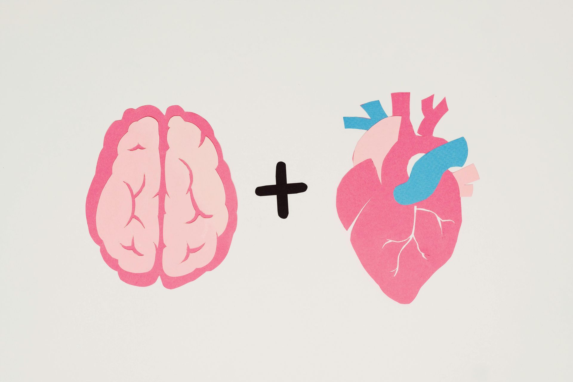 SolSmile Lounge | Why Your Oral Health Matters for Heart and Brain Wellness